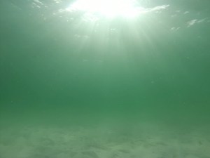 Clearer water further away from the beach...Photo by Hubby