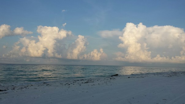 20140809_065536.jpg image