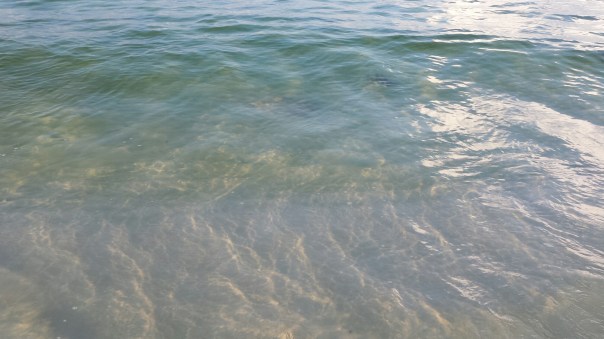 20140809_070925.jpg image