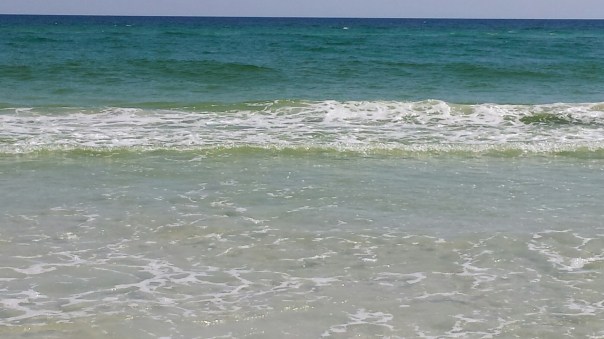 20150501_150342.jpg image