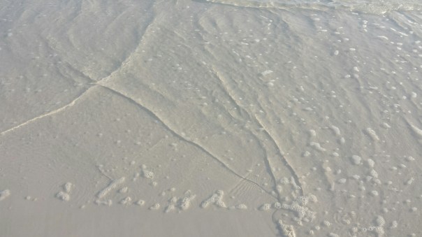 20150505_183147.jpg image