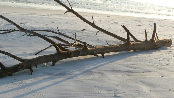 20150505_184211.jpg image