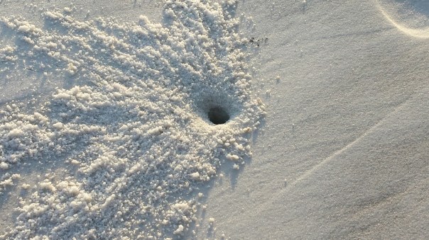 20150505_184217.jpg image