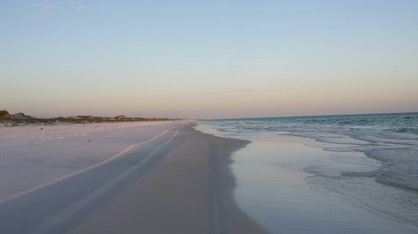 20150507_190645.jpg image