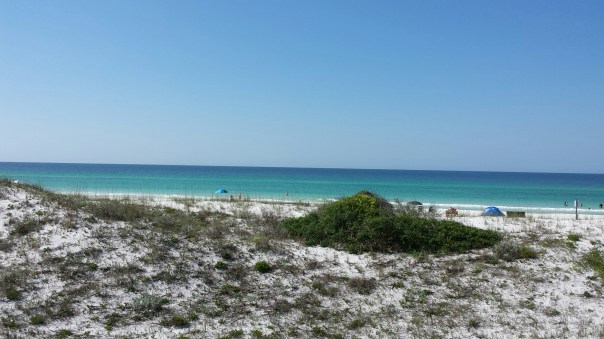 20150508_094219.jpg image