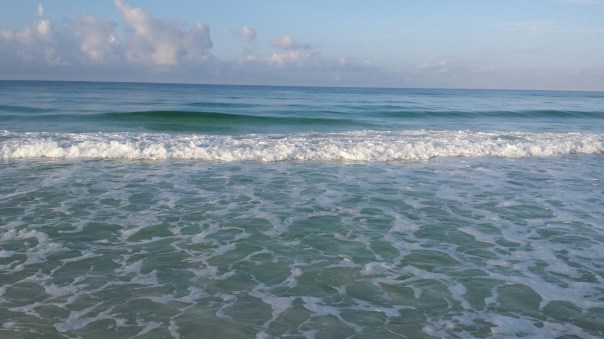 20150519_064530.jpg image