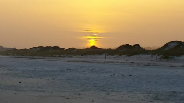 20150707_194128.jpg image