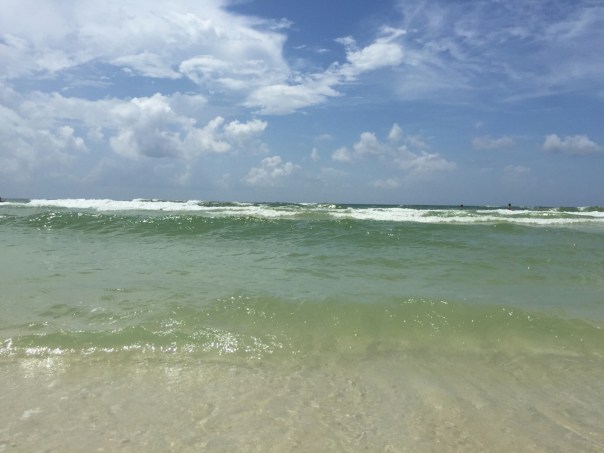 IMG_3192-1.JPG image