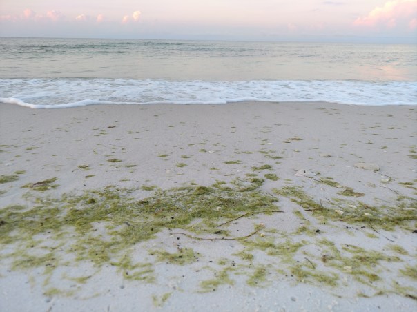 IMG_20180704_055615959